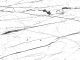 Precedente