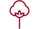Precedente