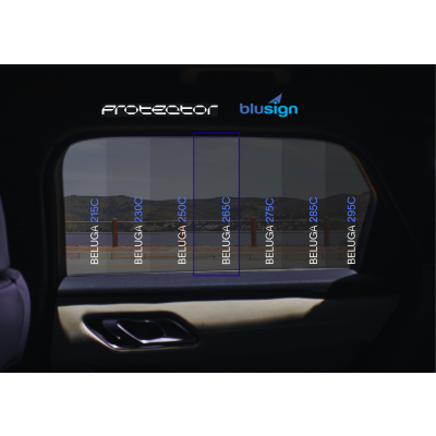 Beluga 265 C - H 1.52x30.5