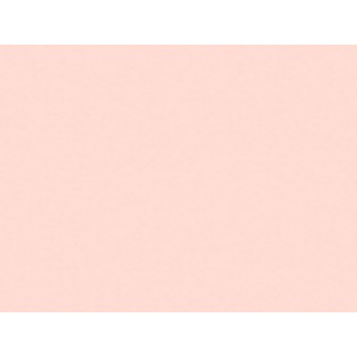 COLOR NF01 1,22x50 [R]