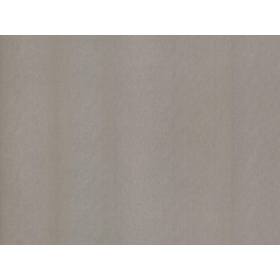 STEEL NE51 1,22x50