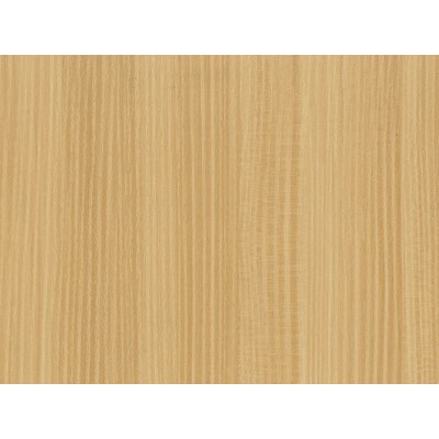 WOOD AF09 1,22x50 [R]