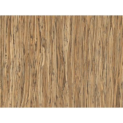 WOOD D4 1,22x50