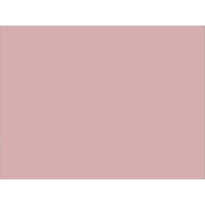 COLOR NF03 1,22x50 [R]