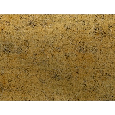 STEEL AL07 1,22x50 [R]