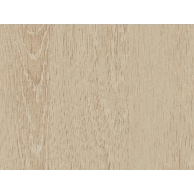 WOOD CT100 1,22x50 [R]