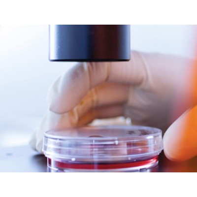 Ambre C - Inactinic Film H 152