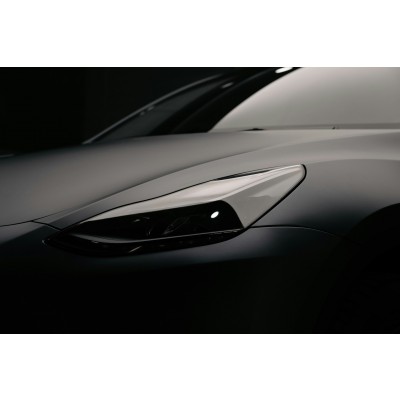 Protector Ultra Mat H 152