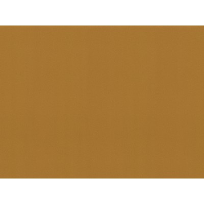 STEEL Q3 1,22x50