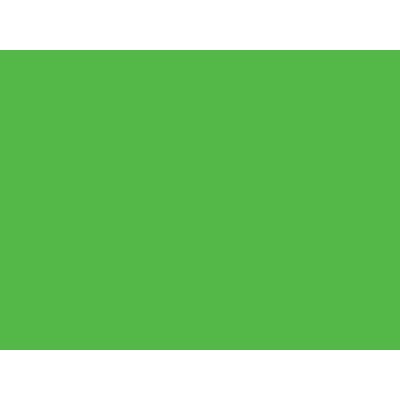5000-164 Spring Green, Gloss 1.22x45,7mt