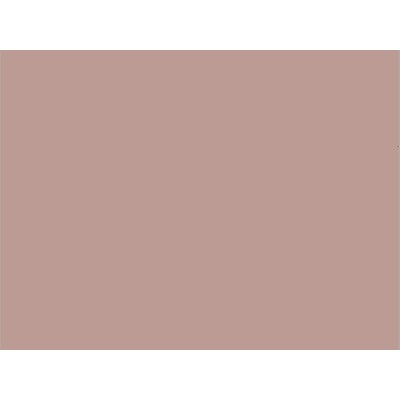 COLOR NF02 1,22x50 [R]