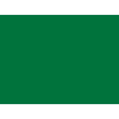 Ri-Mark Event180 Medium Green - Gloss