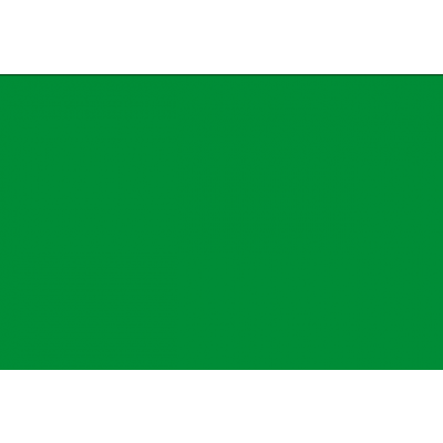 Ri-Mark Platinum P848 Bright Green