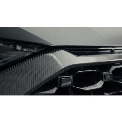 PROTECTOR CARBON GLOSS