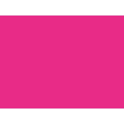 RI-MARK CF 01 ROSA FLUO H. 1,22X50