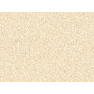 TEXTILE NE43 1,22x50 [R]