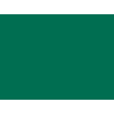 2200-24 DARK GREEN H. 1,22X45,7 MT