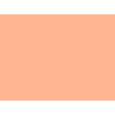 COLOR NE53 1,22x50 [R]
