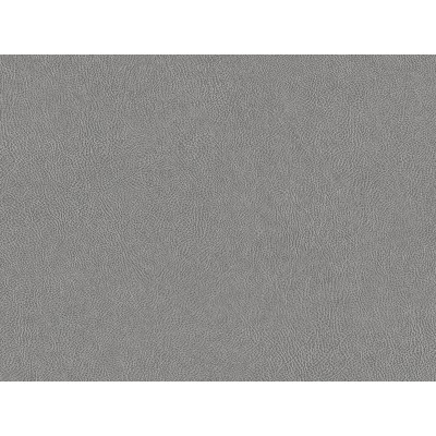 CUIR NE41 1,22x50