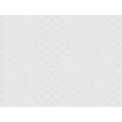 CUIR X10 1,22x50