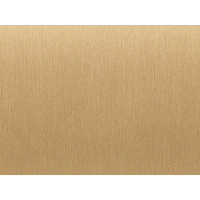 STEEL NE47 1,22x50