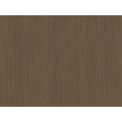 STEEL NG29 1,22x50 [R]